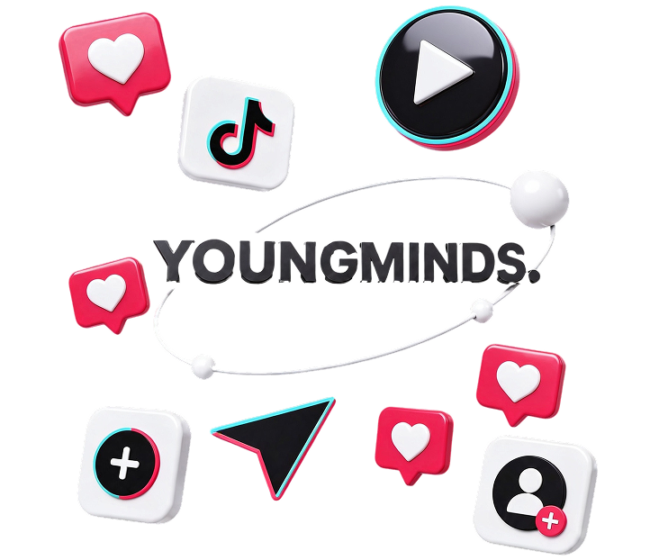 TikTok advertising content planning